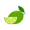Lime fresh slices set. Cut limes fruit slice for lemonade juice. Vitamin C.